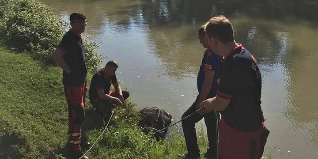 Bartın Irmağında Mahsur Kalan Manda Kurtarıldı..

Bartın Irmağı'nda bir mandanın ırmakta mahsur kaldığı ihbarı üzerine Arama ve Kurtarma Ekibi olay yerine sevk edildi.